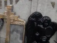 Ищу компаньона или инвестора, фотография 7