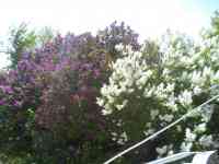 Продается Дом-Мечта, Интернациональная, 30, фотография 6