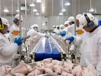 Работа вахтой в РФ! Высокие зарплаты! Бесплатное жилье и питание!, фотография 4