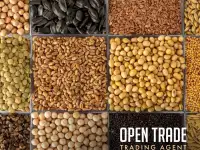 Рис оптом  Rice wholesale, фотография 2