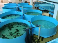 Проектирование, строительство, монтаж Установки Замкнутого Водоснабжения УЗВ, фотография 10