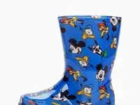 Резиновые сапоги playtoday