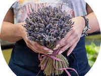 Букет «flora express»