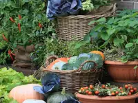 Сульфат Калия в наличии и под заказ, фотография 3