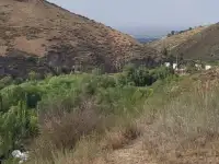 Продаем участок в Каскеленском ущелье, фотография 3