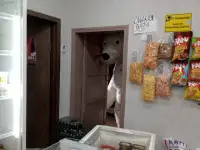 Продам шпальный дом с магазином, Долматово береговая 1, фотография 2