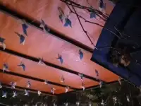 Тенты для террас, кафе под ключ: Алматы, Конаев. Гарантия