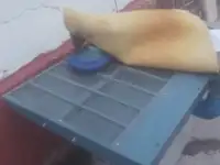 Оборудование для химчистки, фотография 3