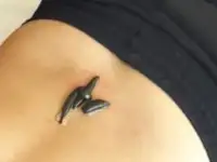 Пиявки ставим одноразовые. Очистка, омоложение , лечениеОчень много пользы., фотография 3