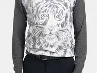 Джемпер kanzler