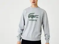 Мужская толстовка lacoste