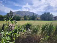 Продаем земельный участок  1 гектар возле поселка Джандосова