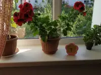 Продам дом, Город, фотография 6