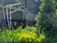 Аренда дома возле заповедника, фотография 9