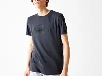 Мужская футболка lacoste  с принтом