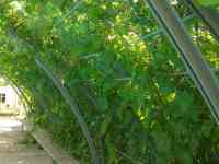 Действующий бизнес в Чундже, фотография 3