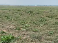 Продаются земельные участки общей площадью 18,34 га, фотография 2