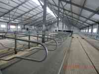 Стойловое оборудование для беспривязного содержания КРС, фотография 5