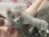 pavlenko100495icloud.com, фотография 8