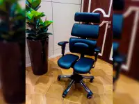 Кресло руководителя HARA CHAIR DOCTOR ортопедическое Ю.Корея, фотография 2
