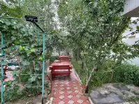 Кафе и сауна, Даулеткерей 30, фотография 7