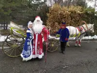 Сани кареты, фотография 5