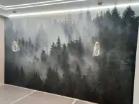 Поклейка обоев, декоративная штукатурка, фотография 2