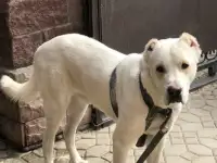 Продам !!!, фотография 5