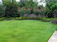 Озеленение, автополив под ключ, фотография 4