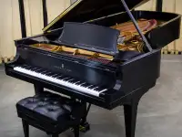 Фортепиано за 3 месяца по нотам, фотография 3