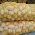Картошка ОПТОМ, фотография 2