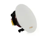 Потолочный громкоговоритель dsppa aux168ii