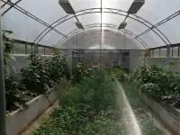 Теплицы с покрытием сотовый поликарбонат, фотография 3