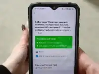 Поставщик бад, витаминов от производителя, фотография 4