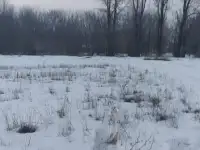 Продам участок 8соток, фотография 3