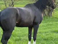 Срочно продам, фотография 2