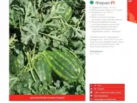 Продаем семена арбуза, фотография 8