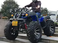 Квадроцикл 250 кубов ( Кардан ), фотография 3