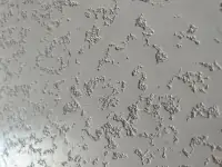 Житкий травертин, фотография 7