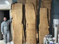 Слеб карагач.