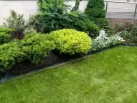 Садовник Каскелен, фотография 3