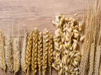 Дробленка, фотография 2