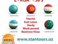 Central Asia E-VISA price 50 usd / Электронная виза в Центральную Азию, фотография 2