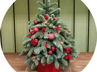 Букет «flora express»