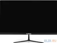 Монитор exegate ex294344rus