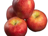Яблоки