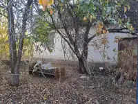 Бизнес партнера по разведению КРС ,МРС, фотография 3