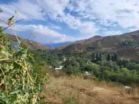 Продаем участок в Каскеленском ущелье, фотография 6