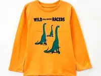 Лонгслив tom tailor