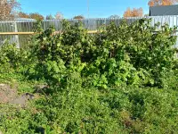 Дача в ст Борки, 6,7соток, фотография 2